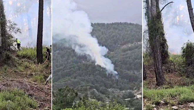 Antalya Kumluca’da Orman Yangını!